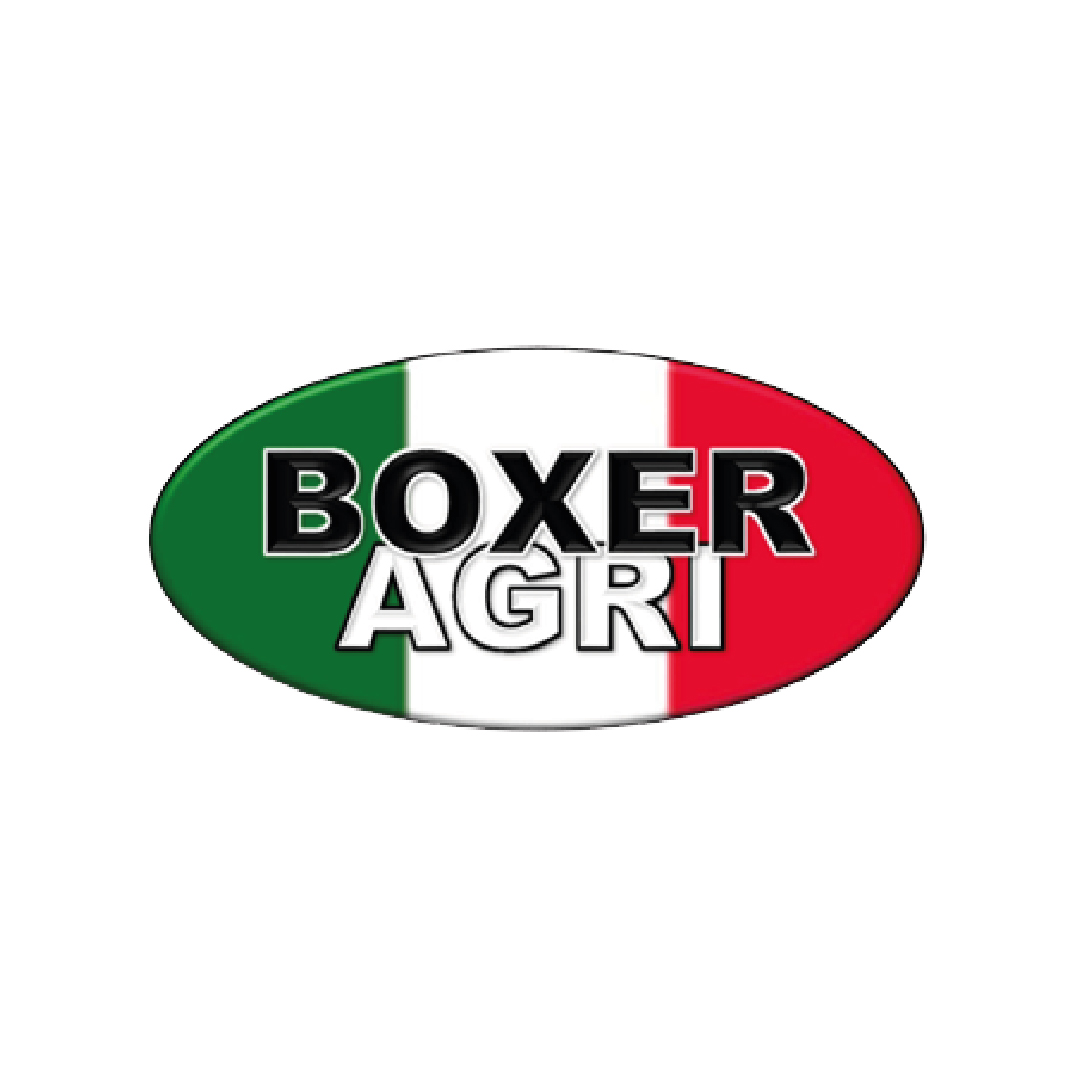 BOXER 1080 x 1080 Logo Boxer